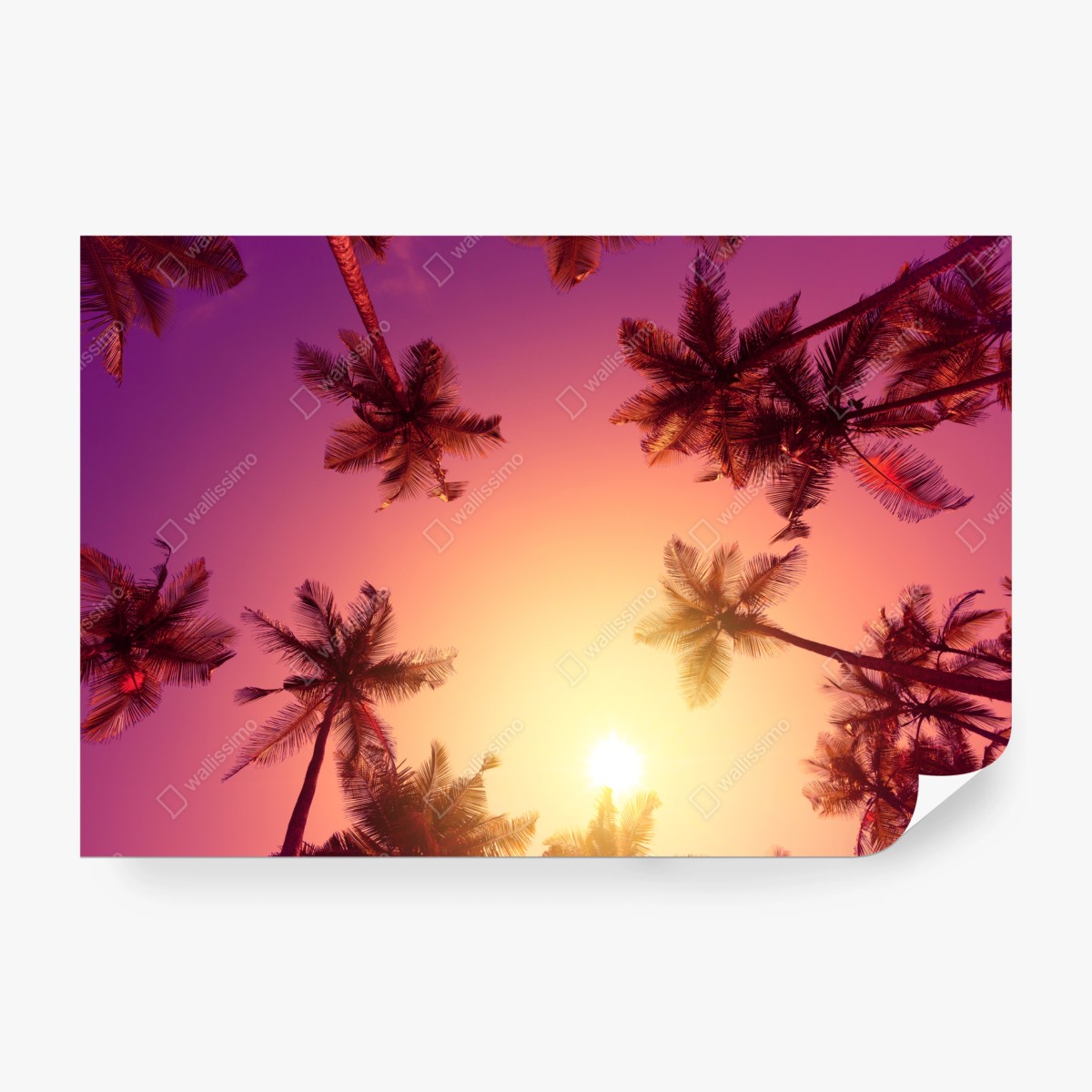 Fototapete tropischer sonnenuntergang mit palmen-silhouetten – Wallnifity®