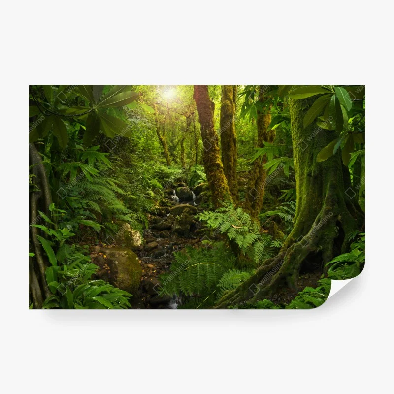 Fototapete moosiger waldbach im sonnenlicht