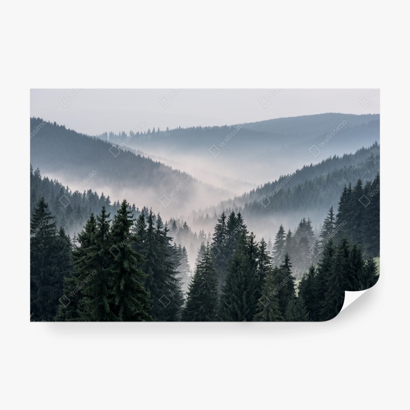 Fototapete aquarellmuster mit vogelbeeren – Wallnifity®