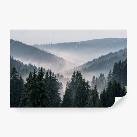 Fototapete nebliger bergwald – Wallnifity®
