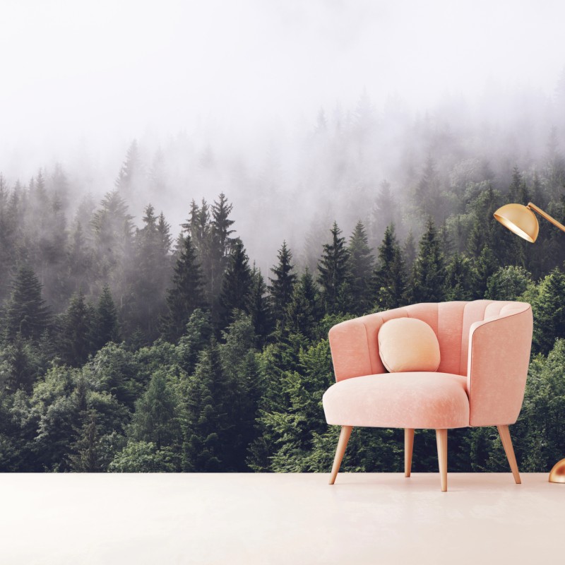 Fototapete nebelverhangener nadelwald am berghang – Wallnifity®