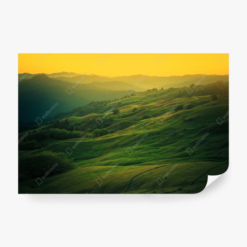 Fototapete nebliger grüner wald – Wallnifity®