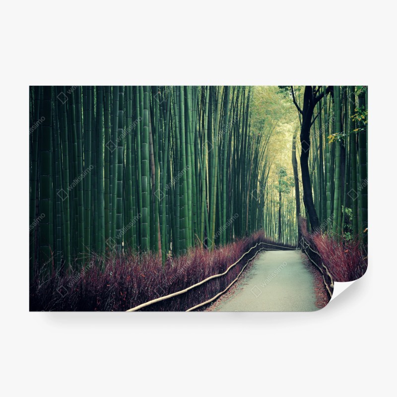 Fototapete ruhiger bambuswald mit pfad – Wallnifity®