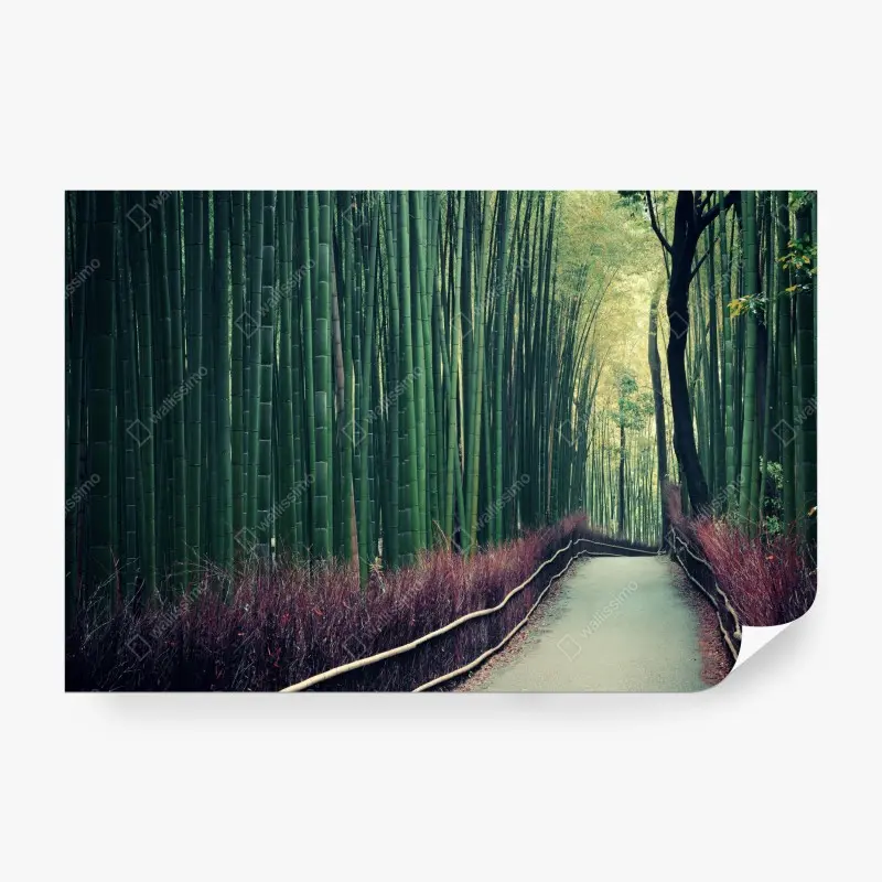 Fototapete ruhiger bambuspfad in Arashiyama