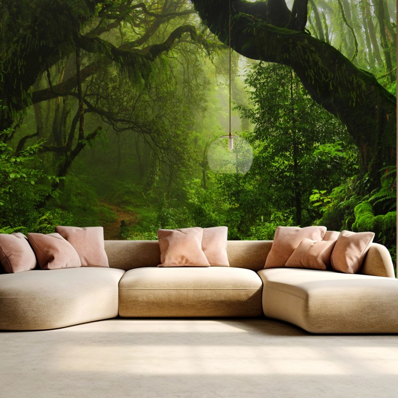 Fototapete verwunschener moosiger waldpfad – Wallnifity®