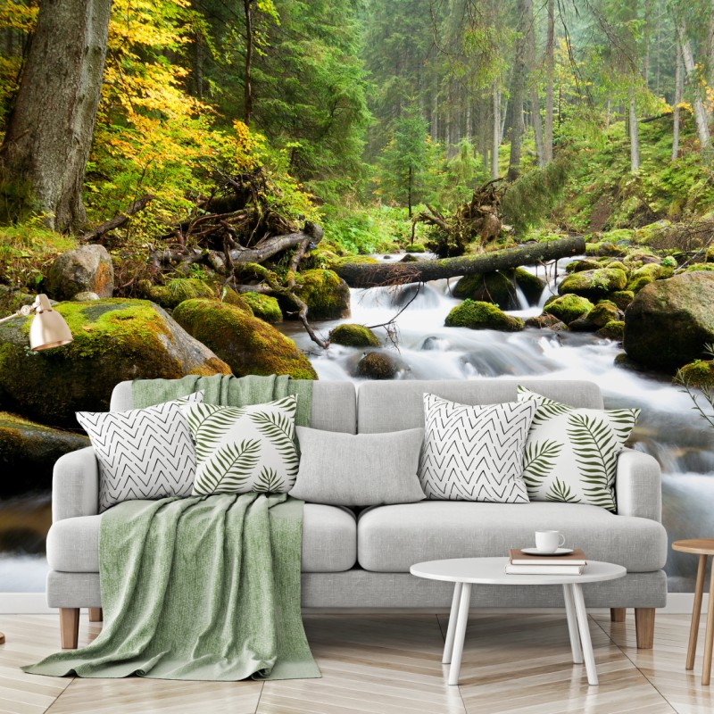 Fototapete moosbedeckter waldbach im herbst – Wallnifity®