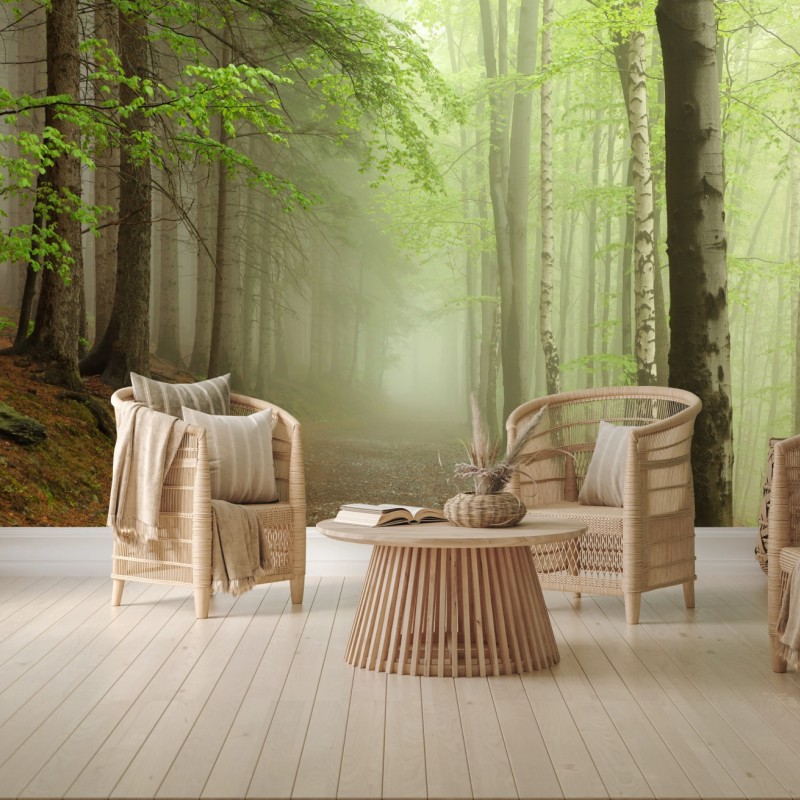 Fototapete nebliger waldpfad – Wallnifity®