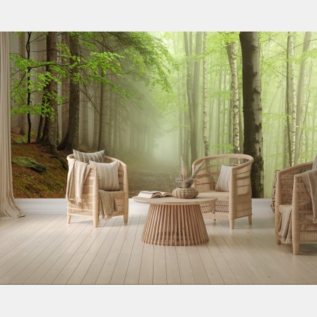 Fototapete nebliger waldpfad – Wallnifity®