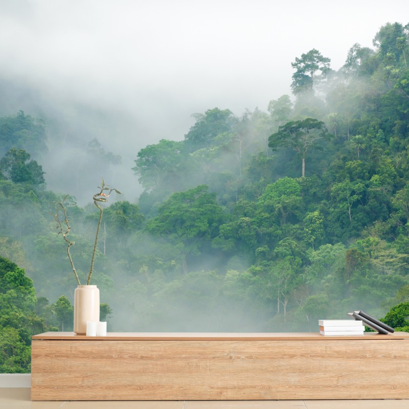 Fototapete morgendlicher nebel über Kaeng Krachan – Wallnifity®