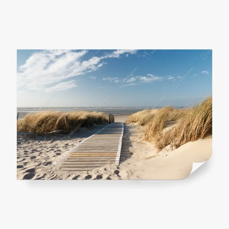 Fototapete holzsteg zum meer