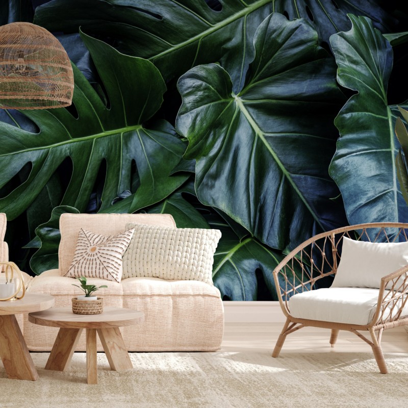 Fototapete üppige tropische monstera-blätter – Wallnifity®
