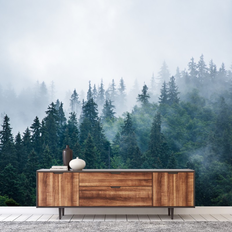 Fototapete nebliger nadelwald – Wallnifity®