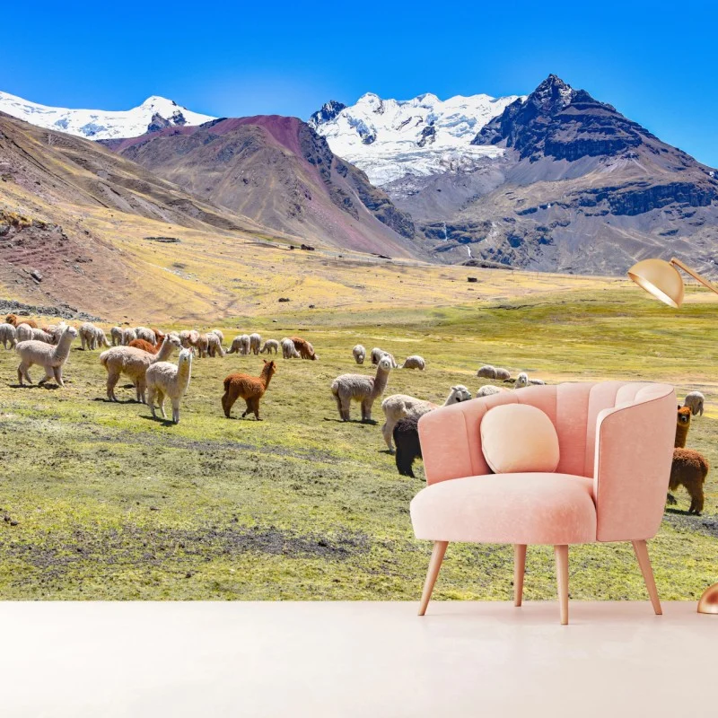 Fototapete alpakas und lamas weiden bei Mt Ausangate, Cusco – Wallnifity®