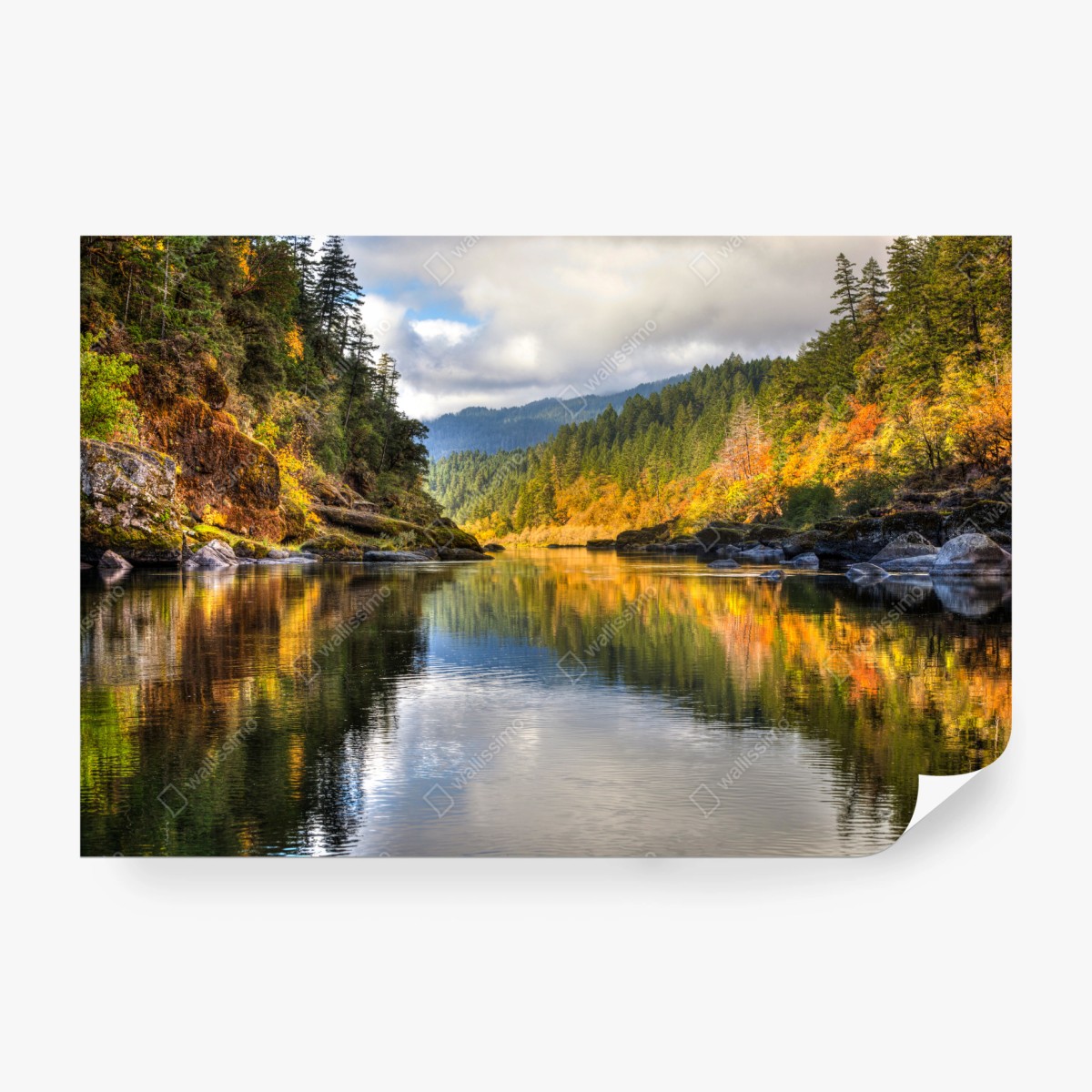 Fototapete Rogue River herbstliche spiegelungen – Wallnifity®