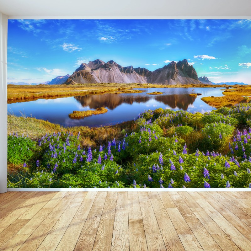 Fototapete lupinenwiese am Vestrahorn, Island – Wallnifity®