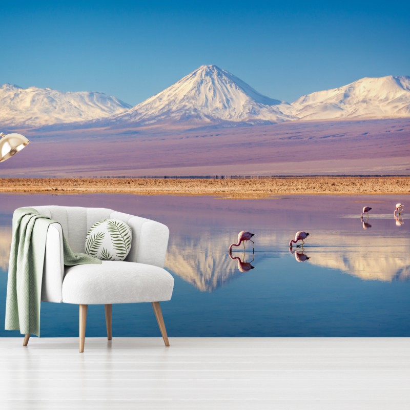 Fototapete Laguna Chaxa mit flamingos und Licancabur – Wallnifity®