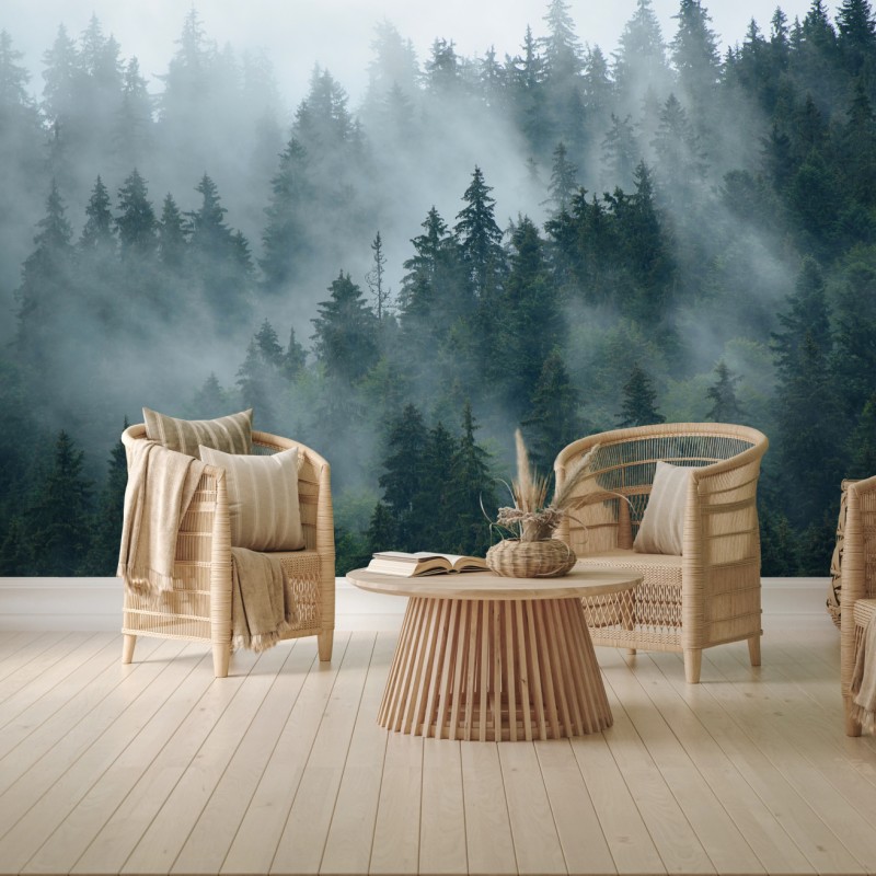 Fototapete nebeliger immergrüner wald – Wallnifity®