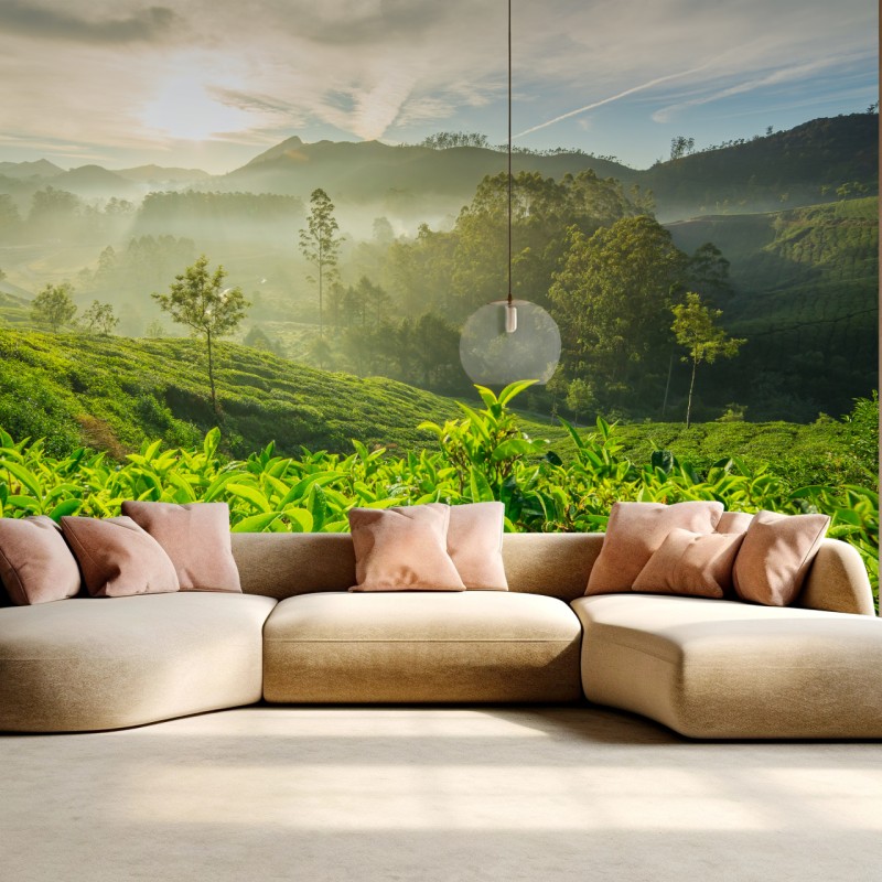 Fototapete sonnenaufgang über den teeplantagen von Munnar – Wallnifity®