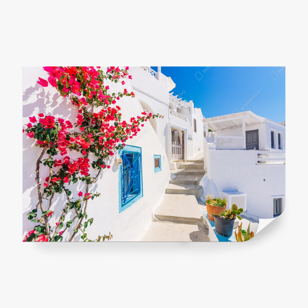 Fototapete Santorini weiße gasse mit bougainvillea – Wallnifity®