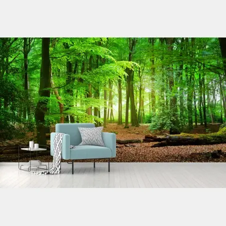 Fototapete sonnendurchfluteter grüner wald – Wallnifity®