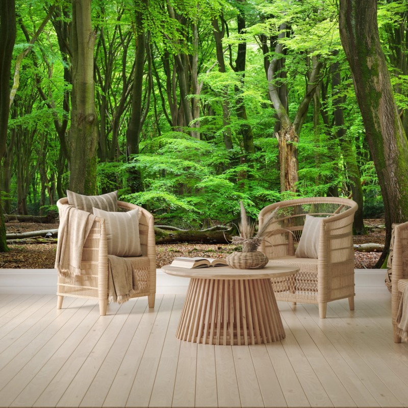 Fototapete ruhige grüne waldkrone – Wallnifity®