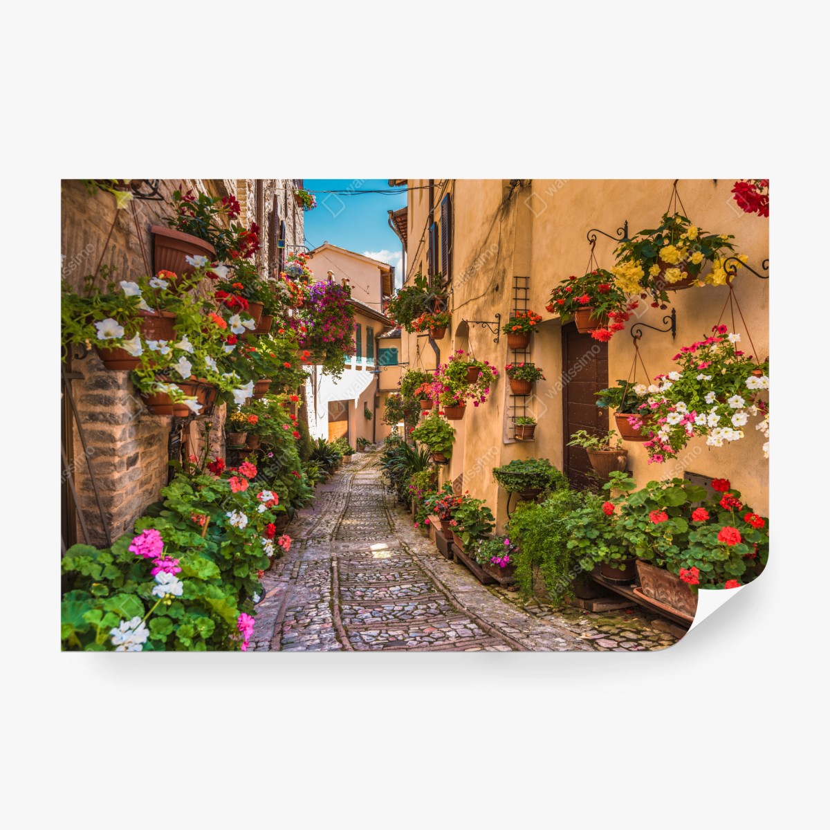 Fototapete sonnige blumengasse in Umbrien – Wallnifity®