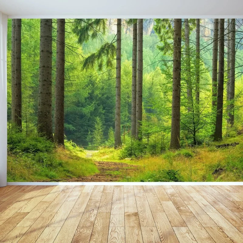 Fototapete sonniger waldweg – Wallnifity®