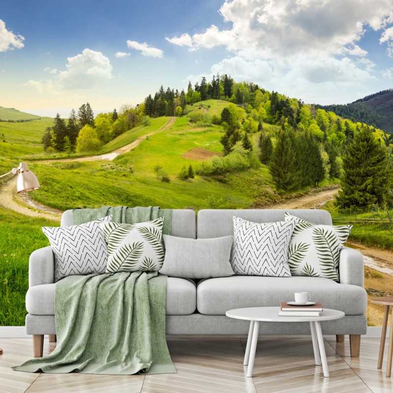Fototapete gewundener feldweg durch grüne hügel – Wallnifity®