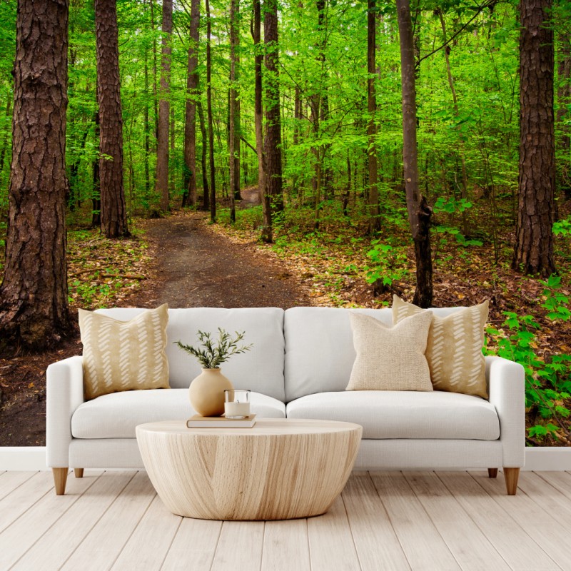Fototapete ruhiger grüner waldpfad – Wallnifity®