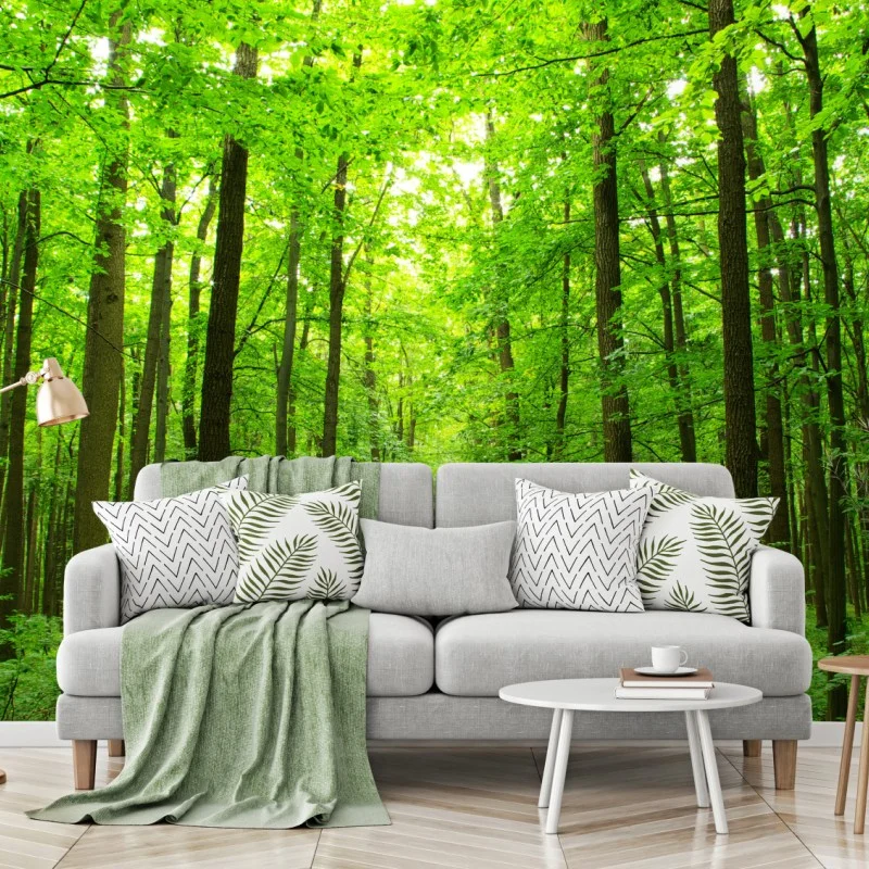 Fototapete ruhiger waldpfad – Wallnifity®