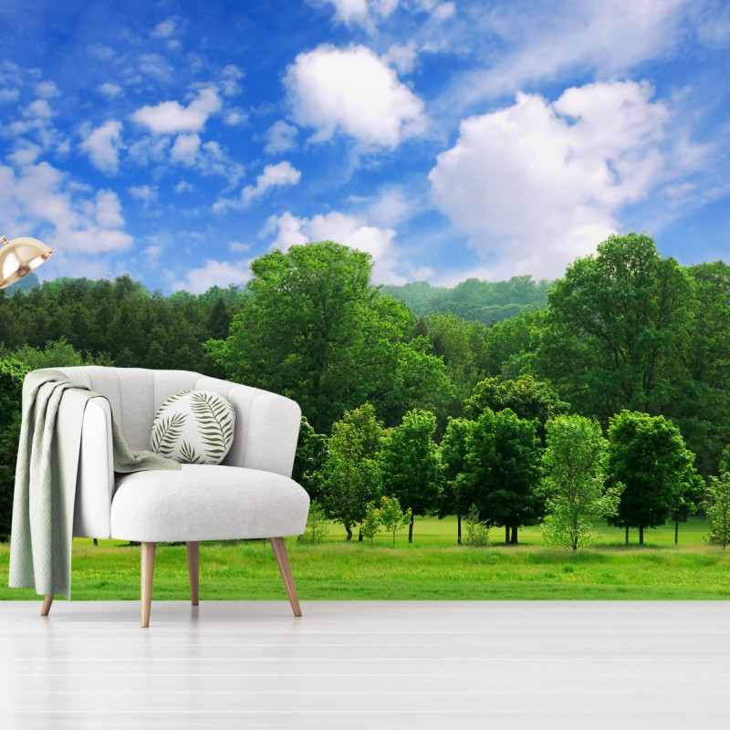 Fototapete sommerlicher grüner wald unter blauem himmel – Wallnifity®