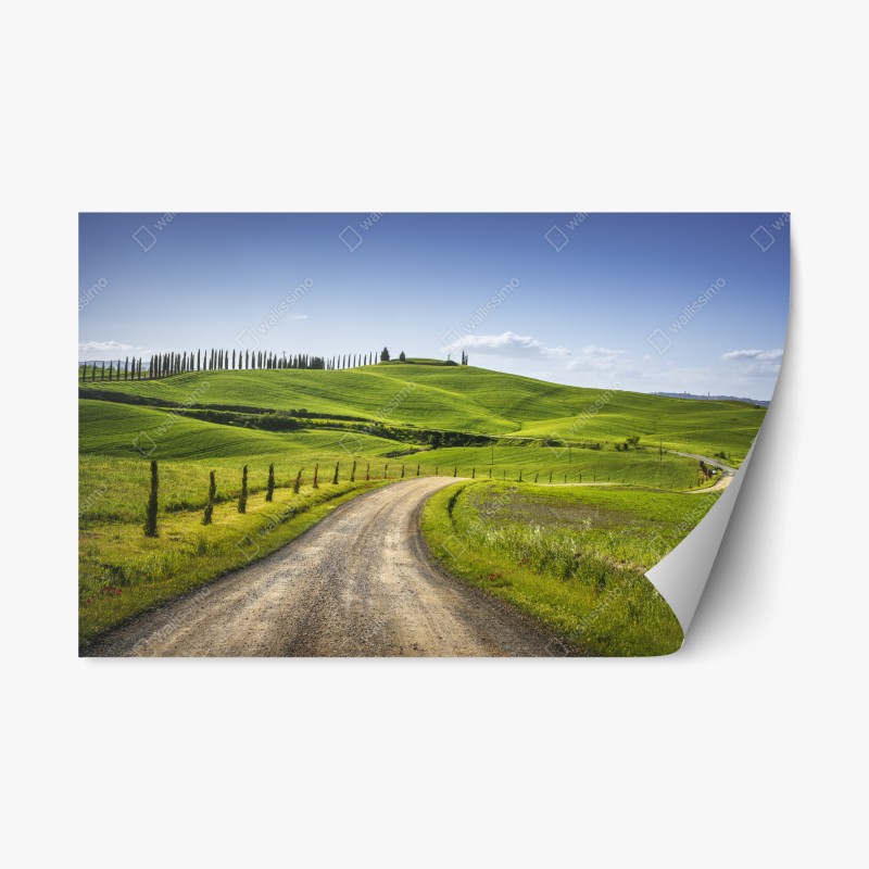 Repositionierbarer Aufkleber niedliches gestreiftes fuchsmuster – Wallnifity®