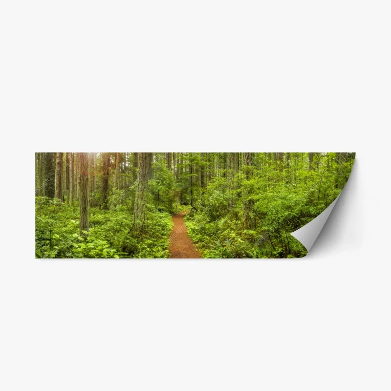 Repositionierbarer Aufkleber friedlicher waldpfad