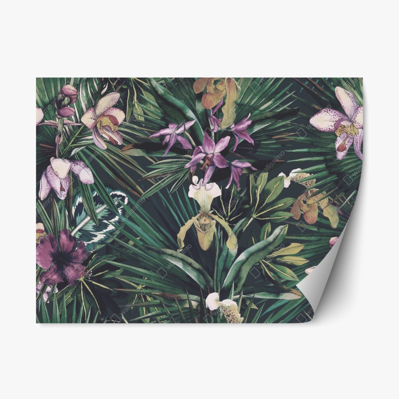 Repositionierbarer Aufkleber ruhiger grüner waldpfad – Wallnifity®