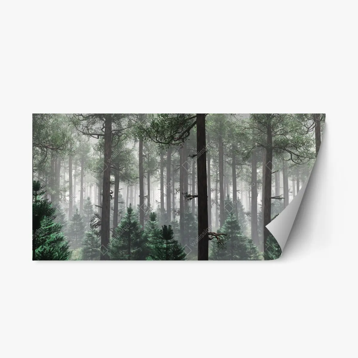 Repositionierbarer Aufkleber nebliger immergrüner wald – Wallnifity®