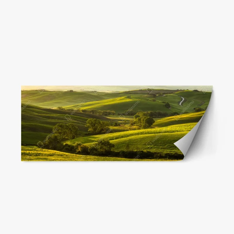 Repositionierbarer Aufkleber sonnenbeschienene grüne hügel – Wallnifity®