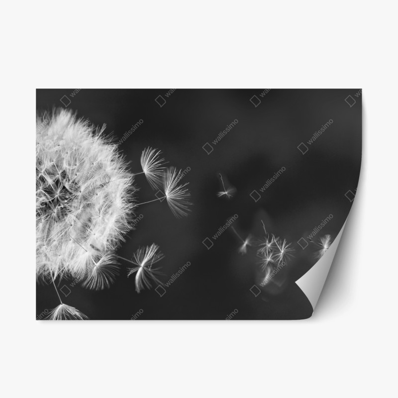 Repositionierbarer Aufkleber sonnenbeschienene bergstraße zum vulkan – Wallnifity®