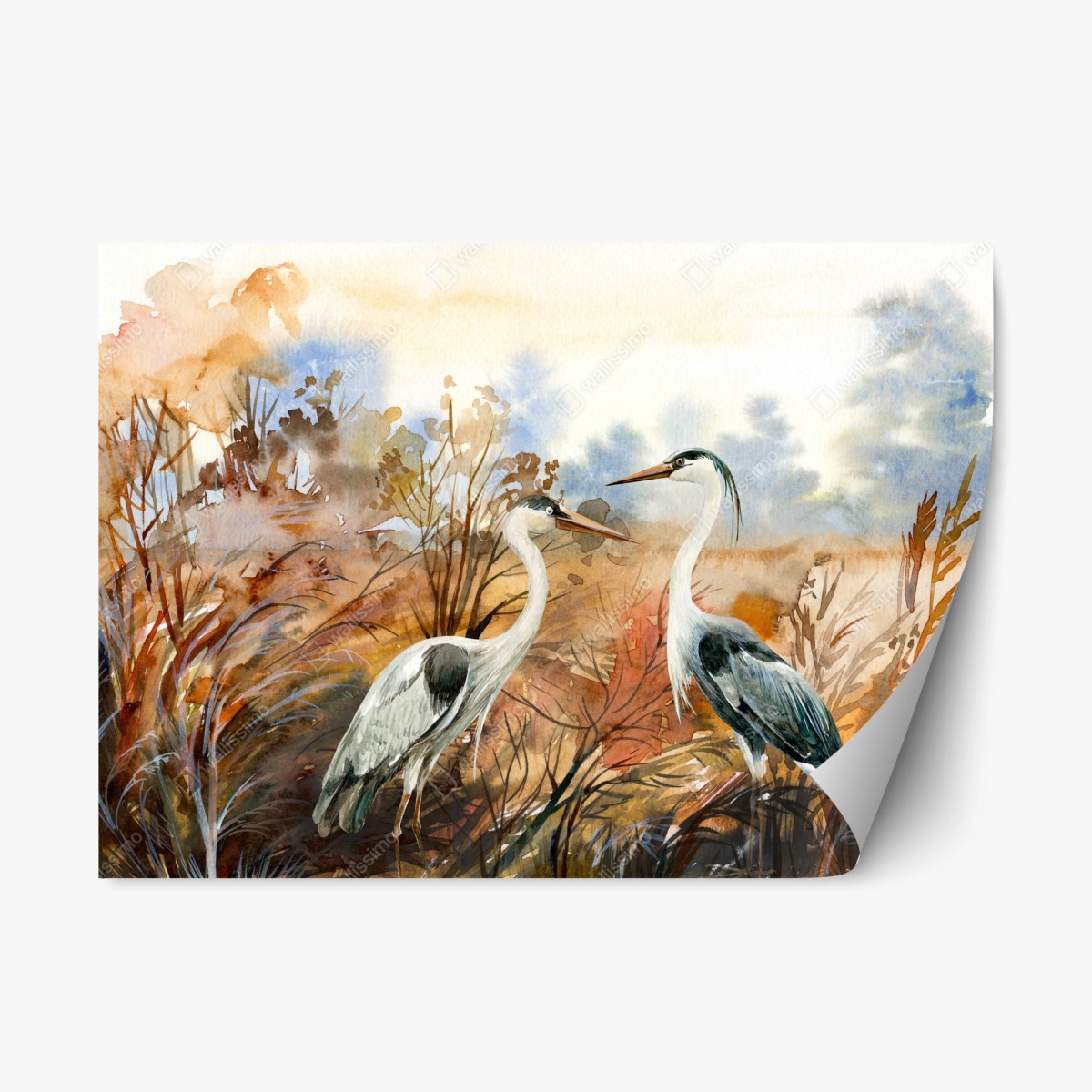 Repositionierbarer Aufkleber zwei reiher im herbstlichen sumpf – Wallnifity® Repositionierbarer Aufkleber zwei reiher im herbstlichen sumpf – Wallnifity®