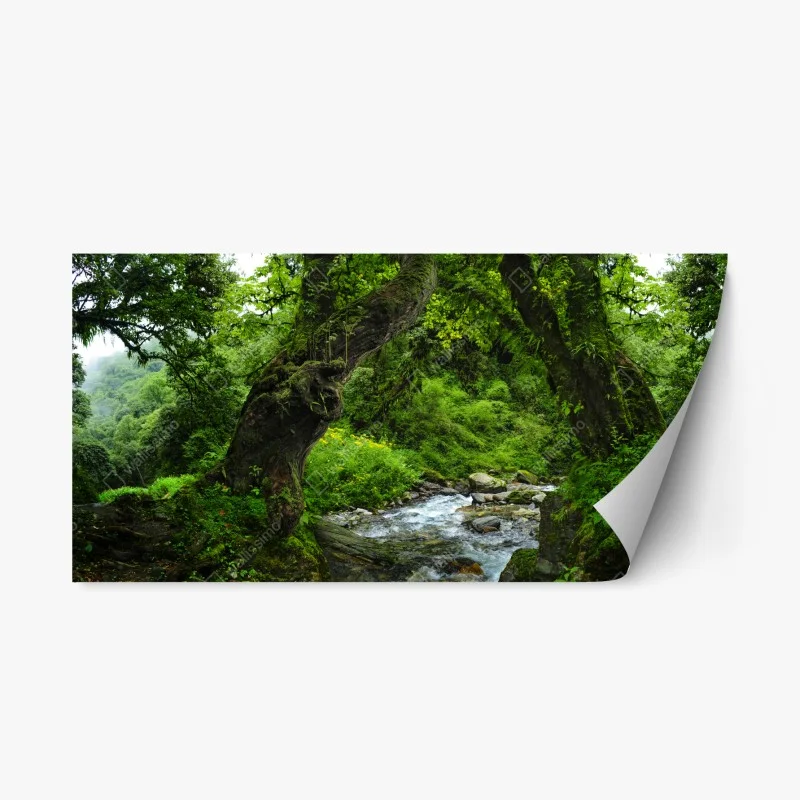Repositionierbarer Aufkleber moosiger waldbach panorama