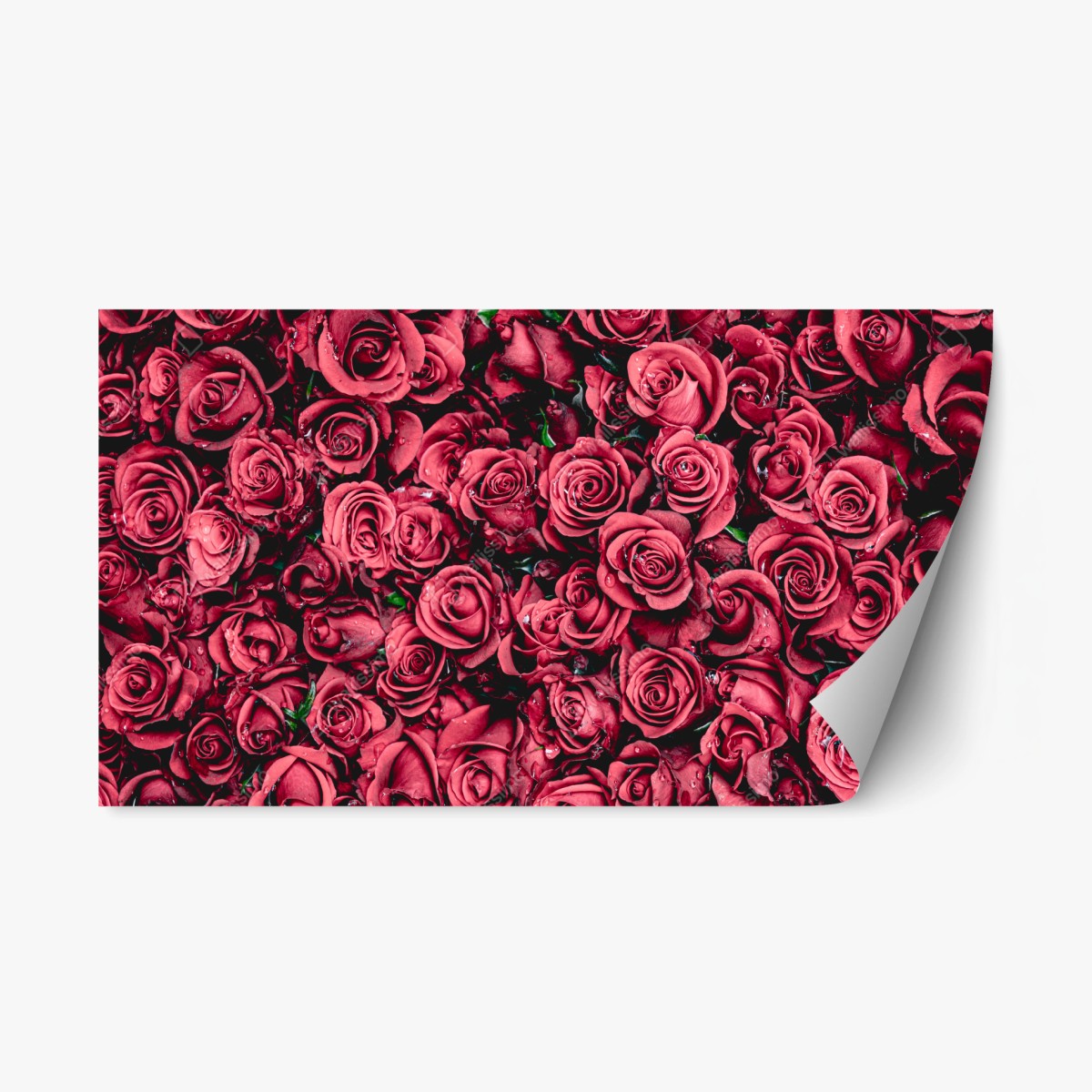 Repositionierbarer Aufkleber pralle rote rosen wandbild – Wallnifity®