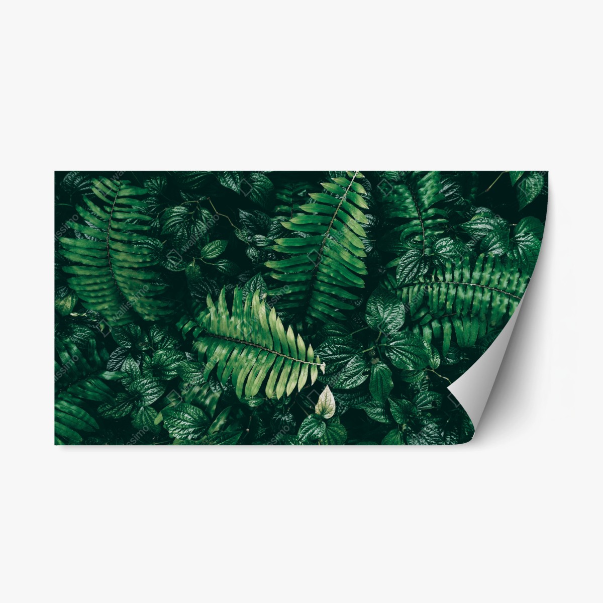 Repositionierbarer Aufkleber üppige tropische blätter – Wallnifity® Repositionierbarer Aufkleber üppige tropische blätter – Wallnifity®