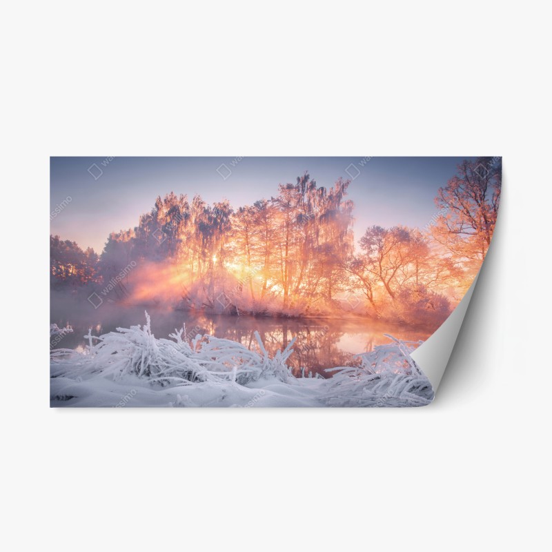 Repositionierbarer Aufkleber majestätischer jaguar in freier wildbahn – Wallnifity®