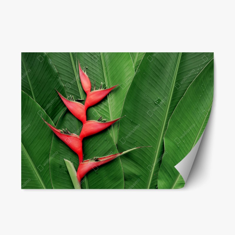 Repositionierbarer Aufkleber dunkle schiefertextur – Wallnifity®