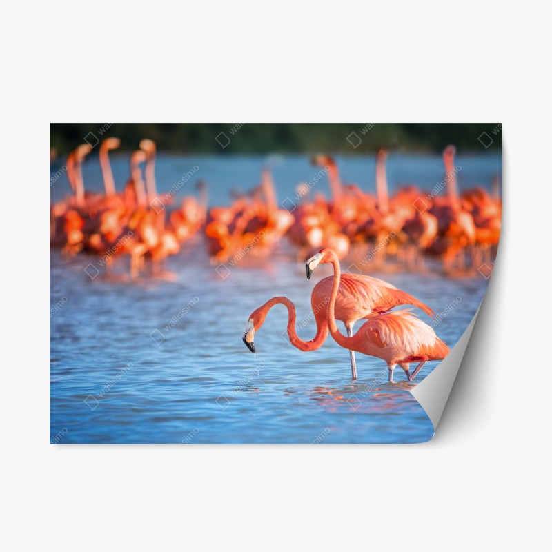 Repositionierbarer Aufkleber gewelltes architekturmotiv in graustufen – Wallnifity®