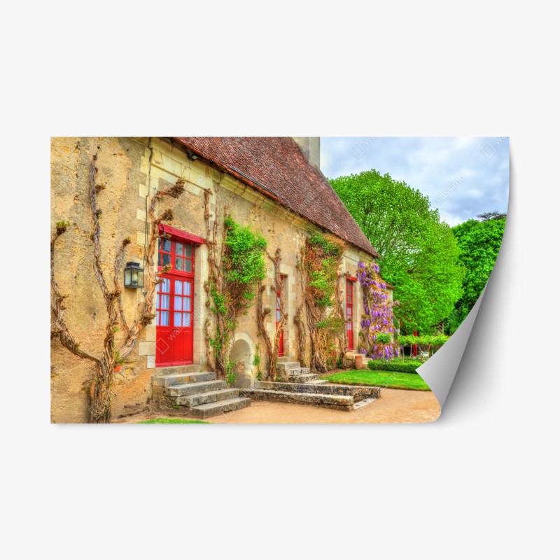 Repositionierbarer Aufkleber lebhaftes muster mit orangenscheiben – Wallnifity®