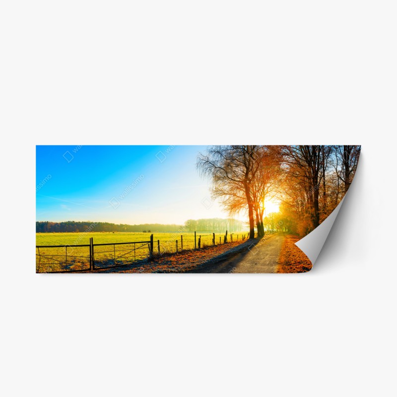 Repositionierbarer Aufkleber sonnenbeschienener moosiger waldpfad – Wallnifity®