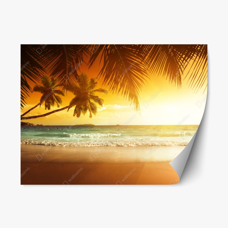 Repositionierbarer Aufkleber elegantes pfauen- und blumenmuster – Wallnifity®