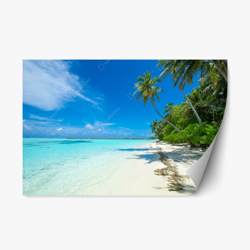 Repositionierbarer Aufkleber aquarell kaktusgarten muster – Wallnifity®