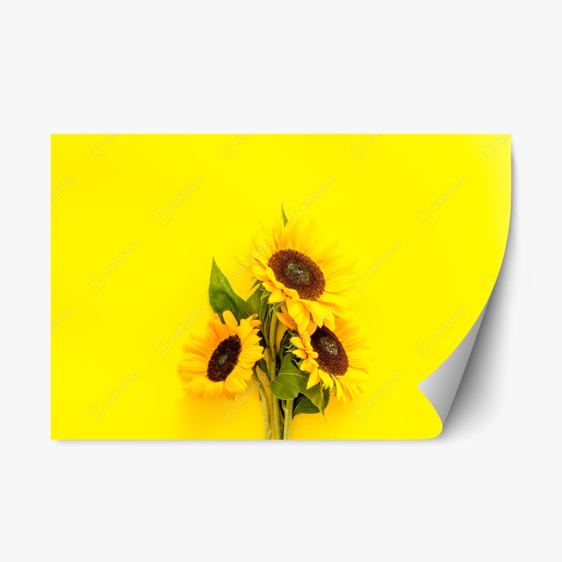 Repositionierbarer Aufkleber sonnenbeschienener moosiger waldpfad – Wallnifity®