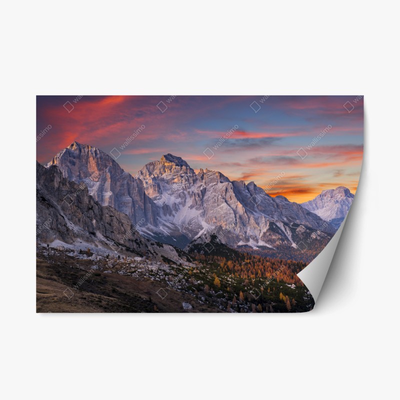 Repositionierbarer Aufkleber Neptun klassisches standbild in monochrom – Wallnifity®